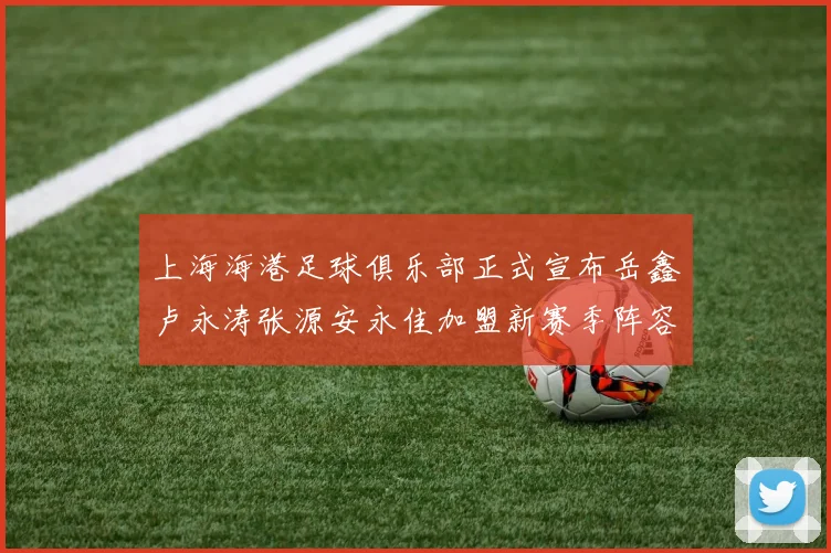 上海海港足球俱乐部正式宣布岳鑫卢永涛张源安永佳加盟新赛季阵容更新