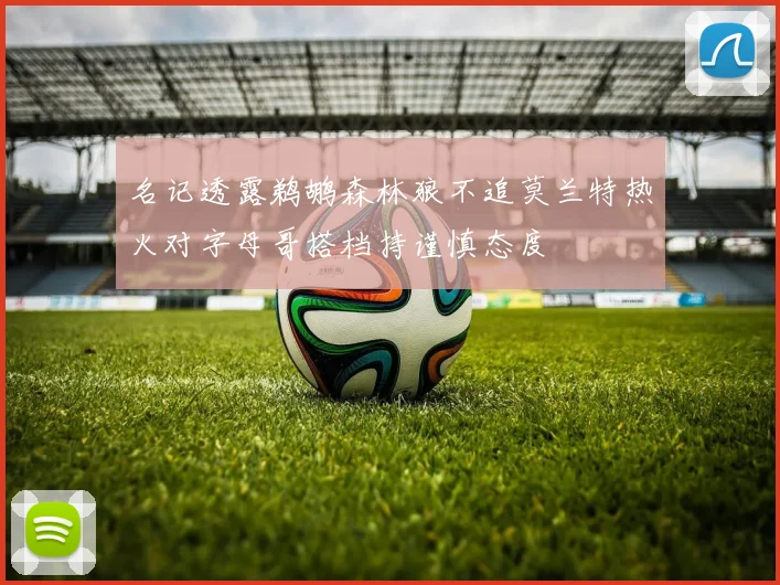 名记透露鹈鹕森林狼不追莫兰特热火对字母哥搭档持谨慎态度