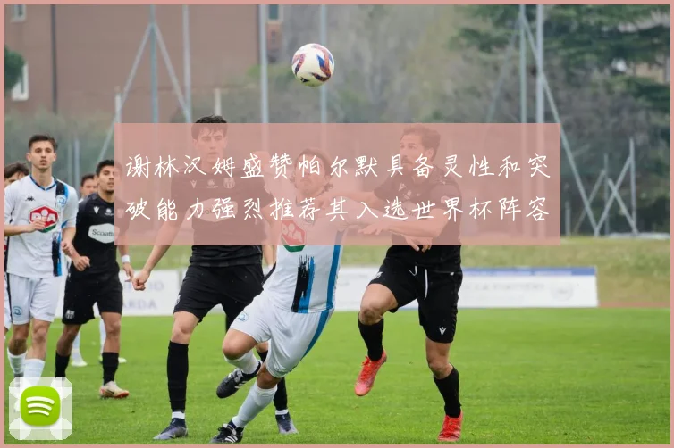 谢林汉姆盛赞帕尔默具备灵性和突破能力强烈推荐其入选世界杯阵容