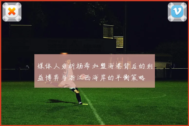 媒体人分析杨希加盟海港背后的利益博弈与浙江西海岸的平衡策略