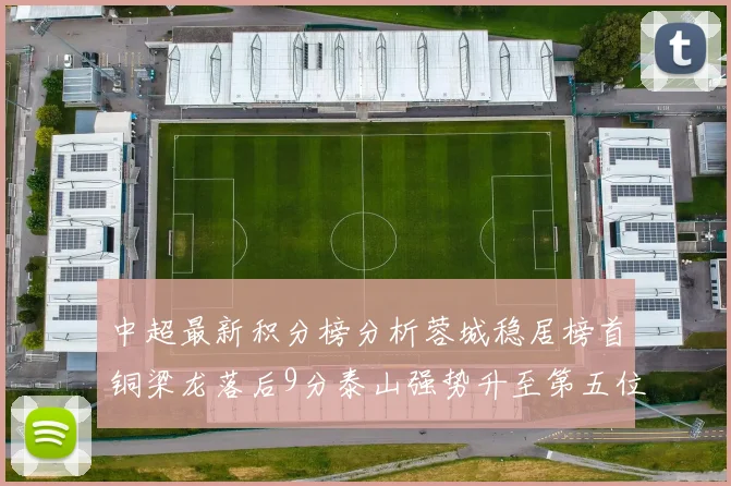 中超最新积分榜分析蓉城稳居榜首铜梁龙落后9分泰山强势升至第五位津门虎积分清零