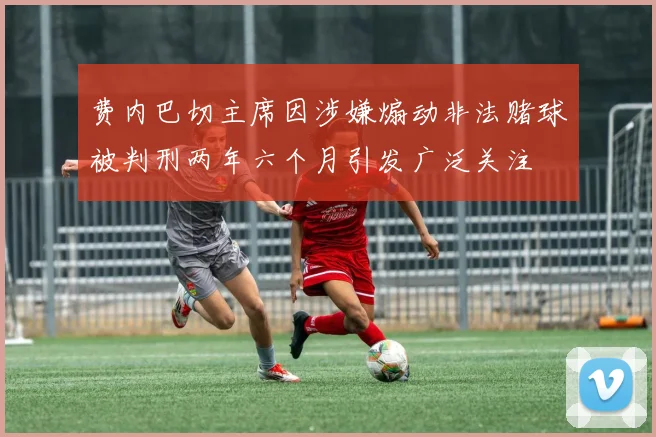 费内巴切主席因涉嫌煽动非法赌球被判刑两年六个月引发广泛关注